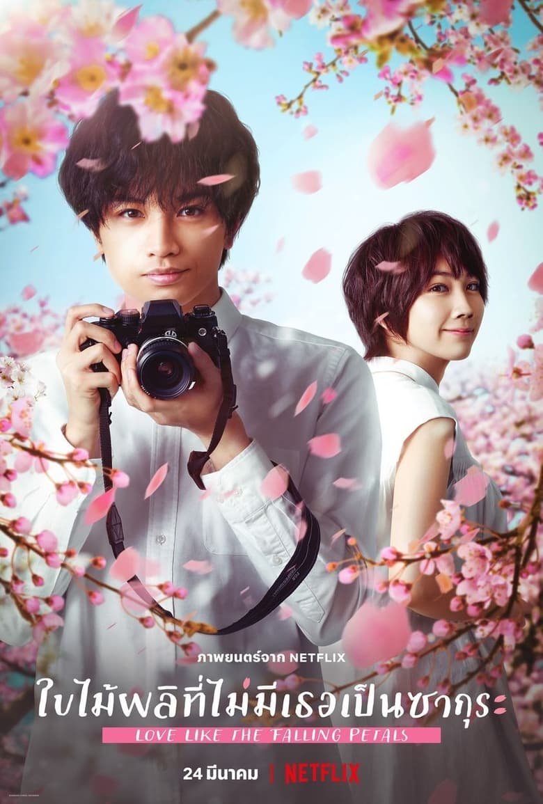 Love Like The Falling Petals (2022) ใบไม้ผลิที่ไม่มีเธอเป็นซากุระ