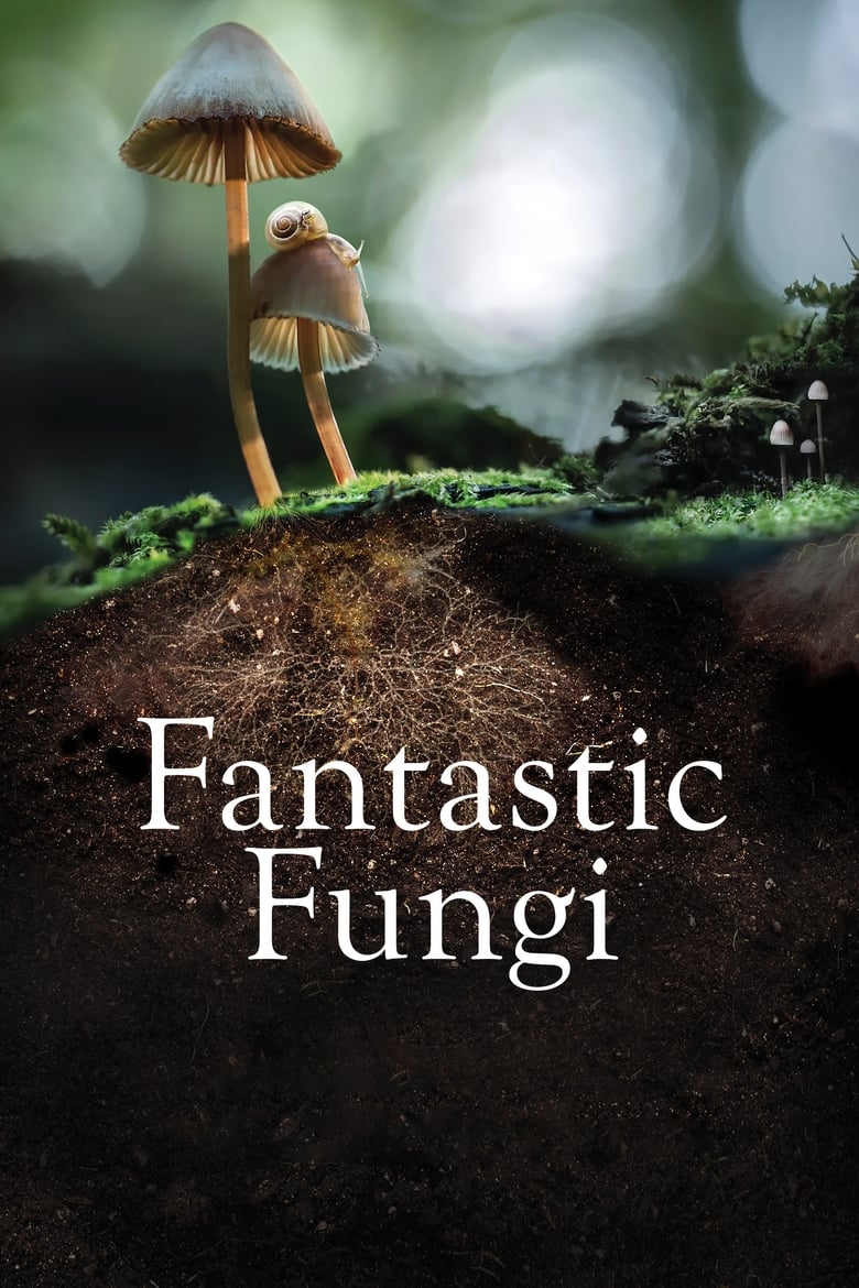 Fantastic Fungi (2019) เห็ดมหัศจรรย์